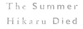 The Summer Hikaru Died
