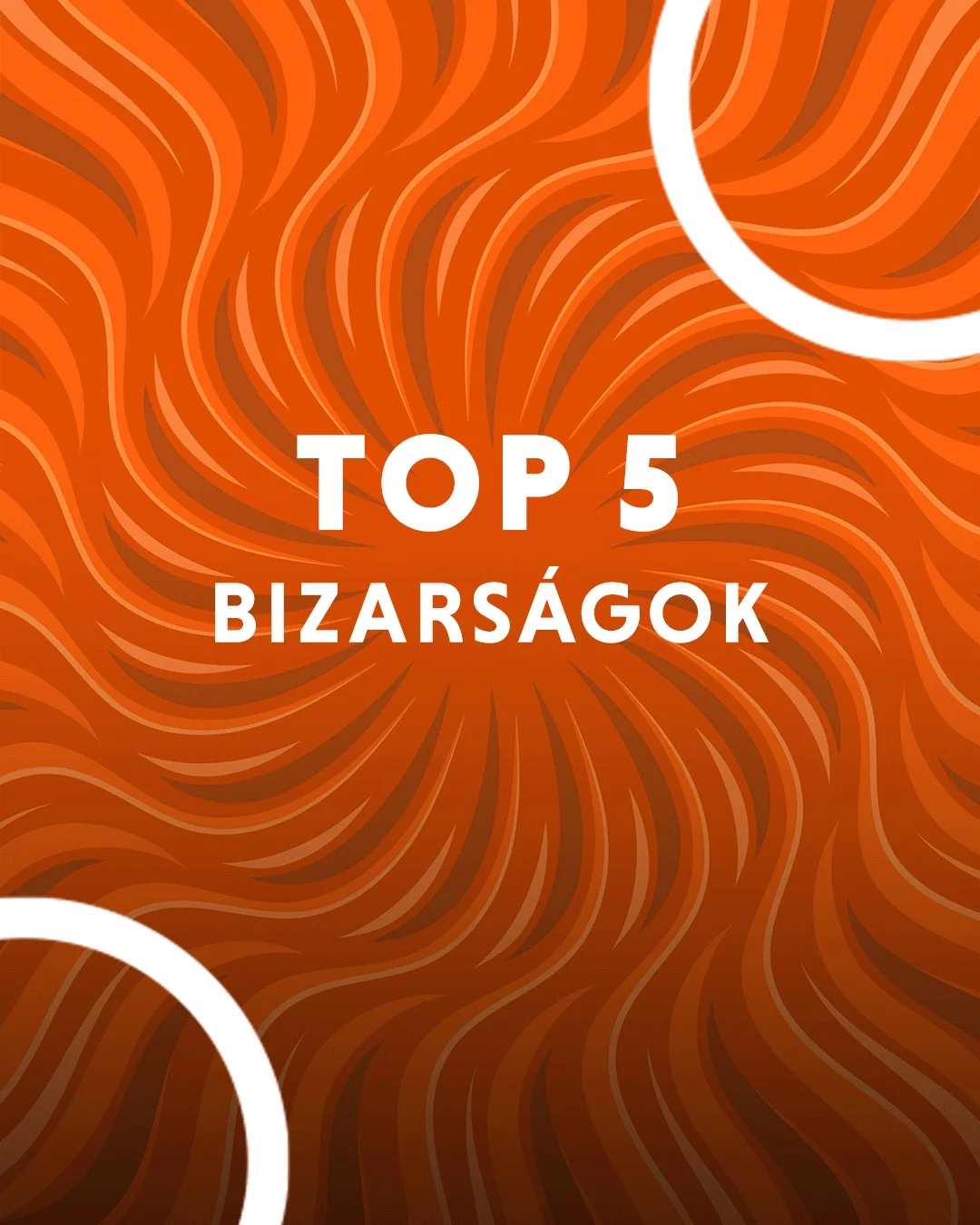 xzonehu, figurák, újdonságok, squidgame, shrek