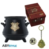 Ajándék készlet Harry Potter - Gift Set Premium (bögre, jelvény, kulcstartó) - Jegyzetfüzet