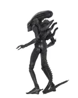 Figurka Alien: Romulus -  Scorched Xenomorph (NECA) dupl