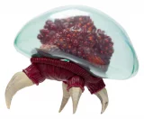 Figurka Hunter X Hunter - Killua dupl