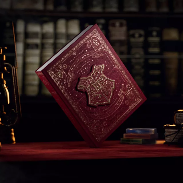 Hrací karty Lord of The Rings - Boxed Set (4 balíčky) dupl