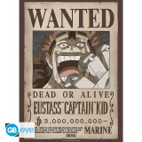 Plakát One Piece - Wanted Luffy & Ace (sada 2 ks) dupl