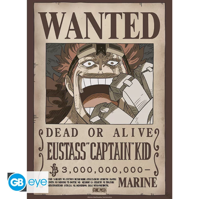 Plakát One Piece - Wanted Luffy & Ace (sada 2 ks) dupl