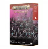 W-AOS: Disciples of Tzeentch - Pink Horrors (10 figurek) dupl