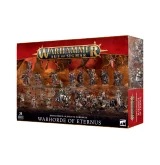 W-AOS -Slaves to Darkness Army Set dupl