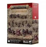 W-AOS: Spearhead - Grundstok Trailblazers (10 figurek) dupl