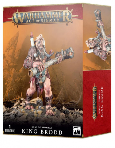 W-AOS: Sons of Behemat - King Brodd (1 figura)