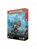 W-AOS: Stormcast Eternals - Iridan the Witness (1 figura)