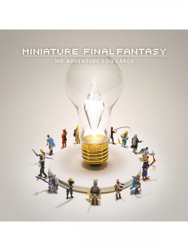 Könyv Miniature Final Fantasy