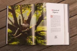 Könyv The Art of Kingdom Come: Deliverance II [EN]
