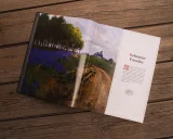 Könyv The Art of Kingdom Come: Deliverance II [EN]