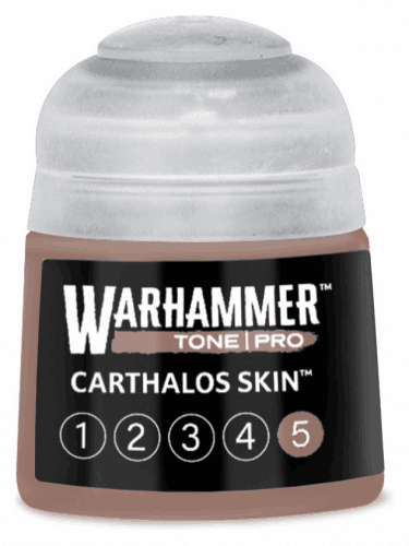 Alapszín Warhammer Tone Pro (Carthalos Skin 5) - sötétbarna