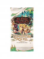Kártyajáték Flesh and Blood TCG: Compendium of Rathe - Booster