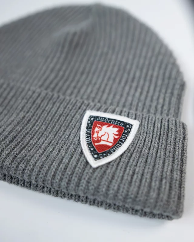 Kingdom Come: Deliverance II sapka – Warhorse pajzs „Audentes Fortuna Iuvat”