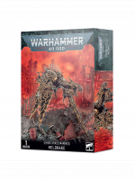 W40k: Chaos Space Marine - Heldrake (1 figura)