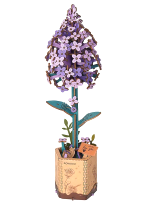 Építőkészlet - Lilac (fa)