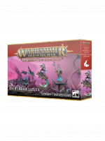 W-AOS: Disciples of Tzeentch - Seekers of Silver (5 figura)