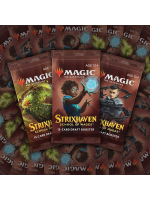 Kártyajáték Magic: The Gathering Strixhaven - Draft Booster (15 karet)