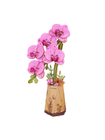 Építőkészlet – Purple Moth Orchid (fa)