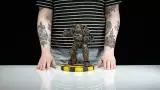 Figura Fallout - NCR Power Armor (Dark Horse)