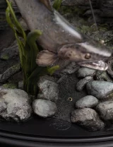 Szobor Lord of The Rings - Smeagol & Deagol (Weta Workshop)
