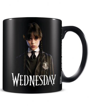 Bögre Wednesday - Friendship