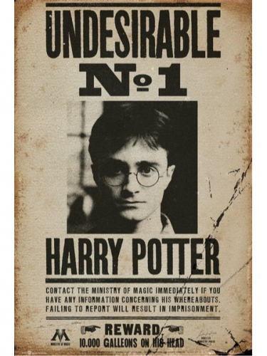 Harry Potter poszter - Undesirable No 1