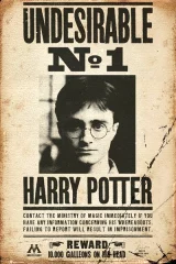 Harry Potter poszter - Undesirable No 1