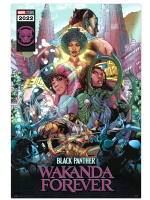 Poszter Marvel: Black Panther: Wakanda Forever - Comic
