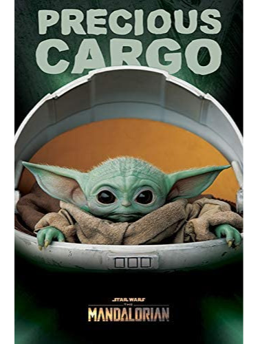 Poszter Star Wars - Precious Cargo