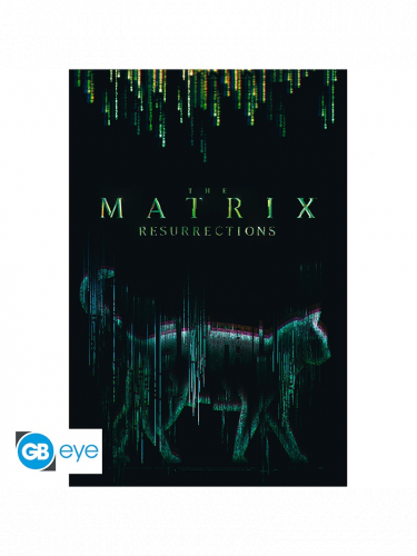 Poszter Matrix - The Matrix Resurrections Cat