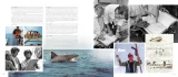 Kniha Jaws: Memories from Martha's Vineyard: Revised & Updated Edition ENG