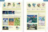 Könyv Pokémon Deluxe Character Guide ENG