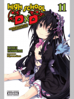 Képregény High School DxD Vol. 11 ENG