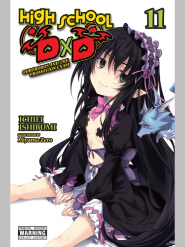 Képregény High School DxD Vol. 11 ENG