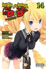 Képregény High School DxD Vol. 14 ENG