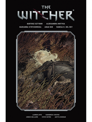 Képregény The Witcher - The Library Edition Volume 2 EN