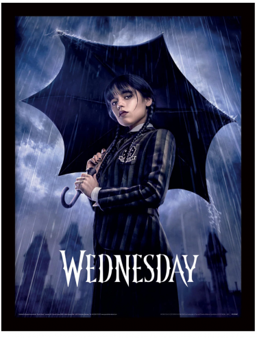 Bekeretezett poszter Wednesday - Downpour