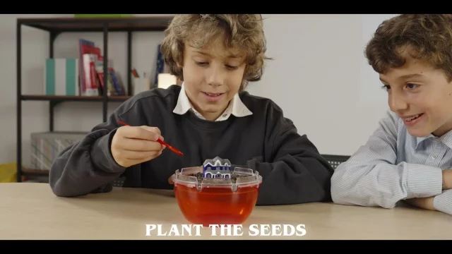 Stranger Things The Upside Down Hydroponic Terrarium