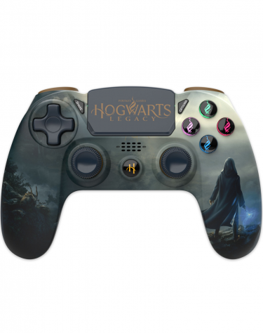 PlayStation 4 kontroller - Hogwarts Legacy Landscape (PS4)