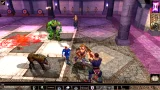 Neverwinter Nights: Enhanced Edition (PC)