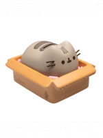 Persely Pusheen - Package