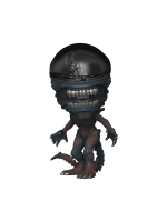 Figura Alien: Romulus - Scorched Xenomorph (Funko POP! Movies 1617)