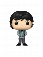 Figura Stranger Things - Mike Wheeler (Funko POP! Television 1783)