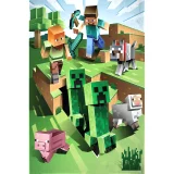 Takaró Minecraft - Overworld