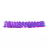 Modellépítő növényzet AK - Purple-pink tufts (4,5 mm) - Warhammer 40000