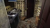 House Flipper - Pets Edition (PS4)