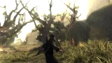 Risen (PS4)