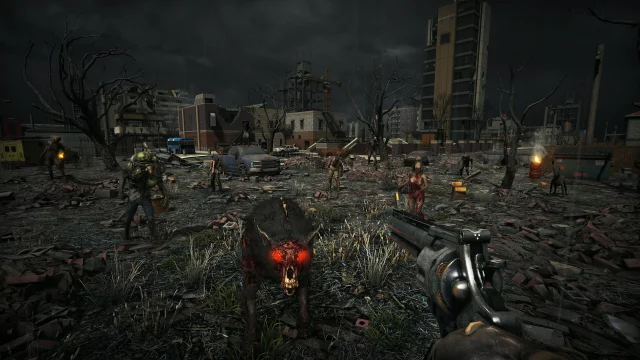 Shadow Labyrinth dupl (PS5)